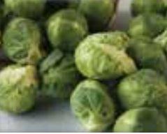 Brussel Sprouts